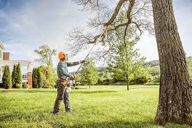 Best Grass Overseeding  in Concord, CA